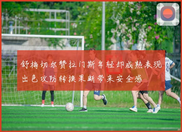 舒梅切尔赞拉门斯年轻却成熟表现出色攻防转换果断带来安全感